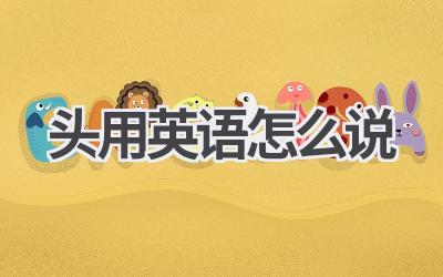 头用英语怎么说