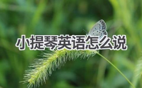 小提琴英语怎么说