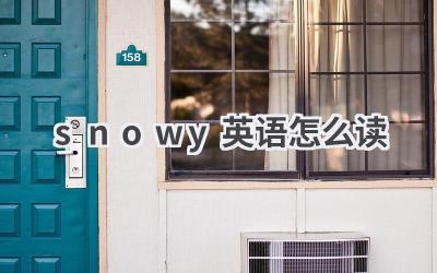 snowy英语怎么读