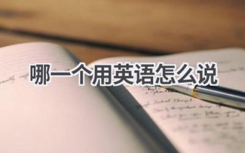 哪一个用英语怎么说