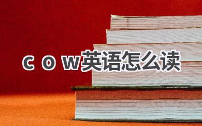 cow英语怎么读