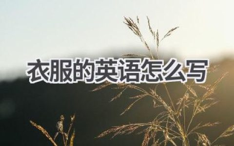 衣服的英语怎么写