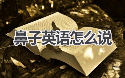 鼻子英语怎么说