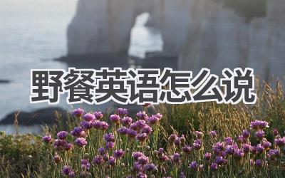 野餐英语怎么说