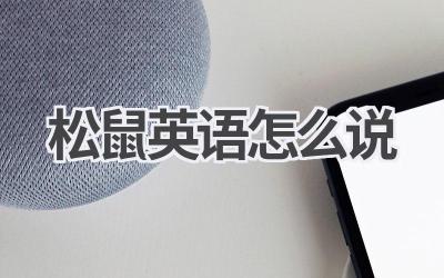 松鼠英语怎么说