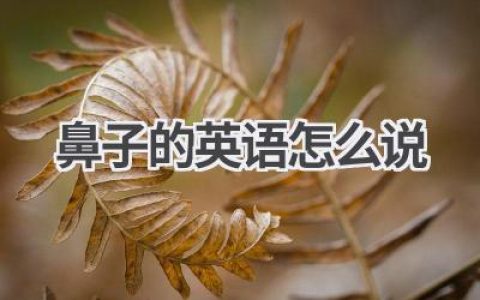 鼻子的英语怎么说