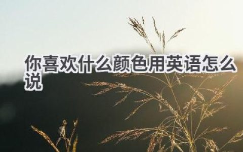 你喜欢什么颜色用英语怎么说