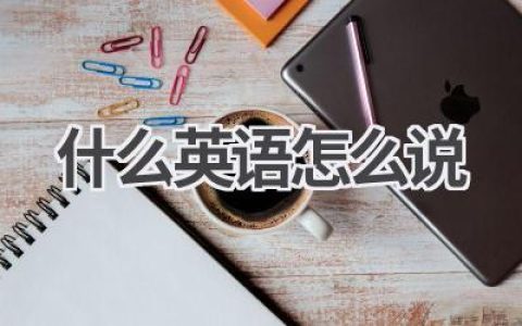 什么英语怎么说