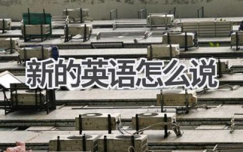 新的英语怎么说