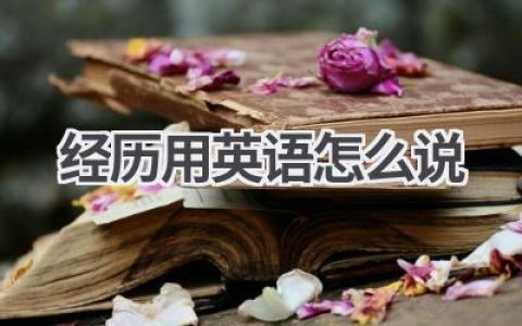 经历用英语怎么说