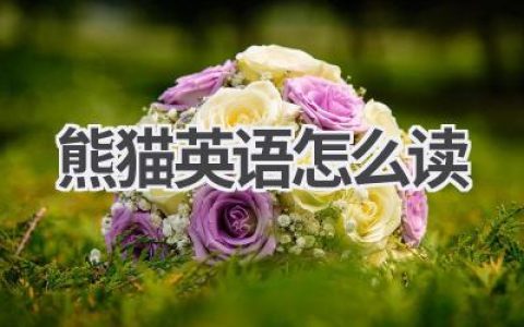 熊猫英语怎么读