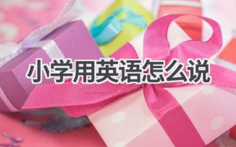 小学用英语怎么说