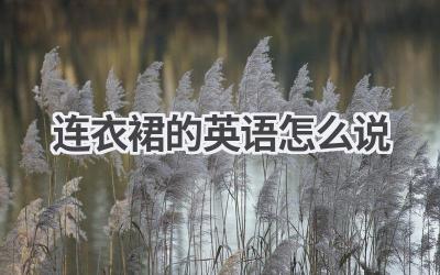 连衣裙的英语怎么说