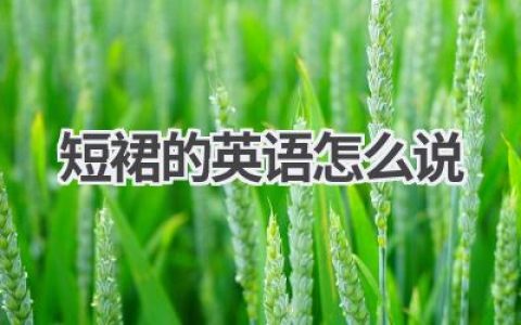 短裙的英语怎么说