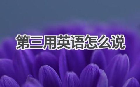 第三用英语怎么说