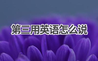 第三用英语怎么说