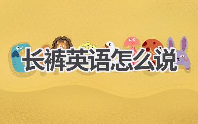 长裤英语怎么说