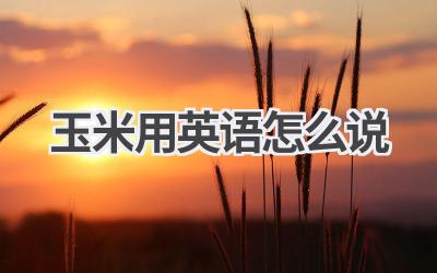 玉米用英语怎么说