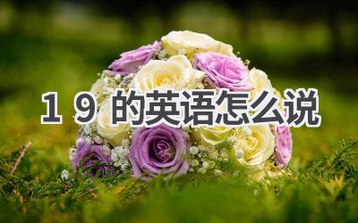 19的英语怎么说