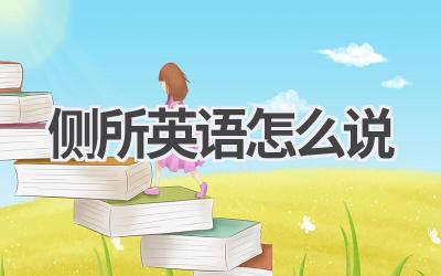 侧所英语怎么说