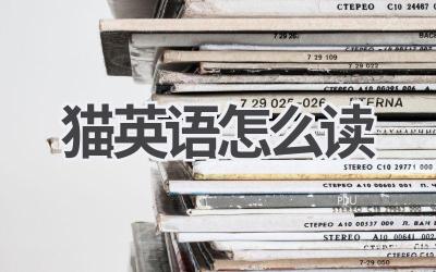 猫英语怎么读