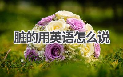 脏的用英语怎么说