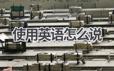 使用英语怎么说