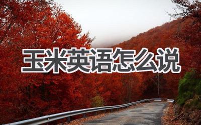 玉米英语怎么说