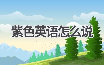 紫色英语怎么说