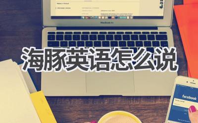 海豚英语怎么说