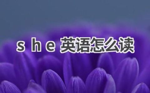 she英语怎么读