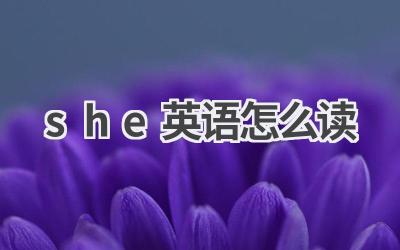 she英语怎么读