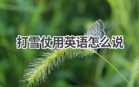 打雪仗用英语怎么说