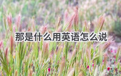 那是什么用英语怎么说