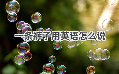 一条裤子用英语怎么说