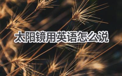 太阳镜用英语怎么说
