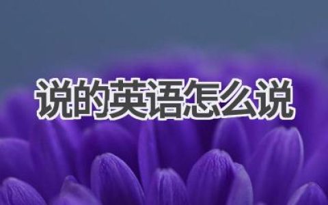 说的英语怎么说