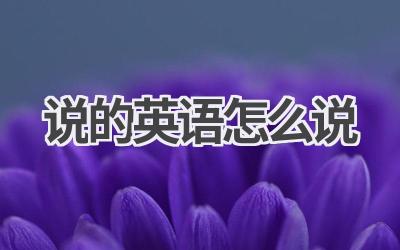 说的英语怎么说