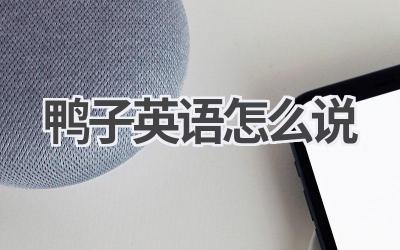 鸭子英语怎么说