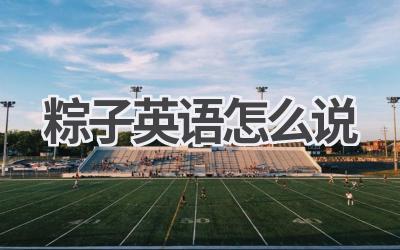 粽子英语怎么说