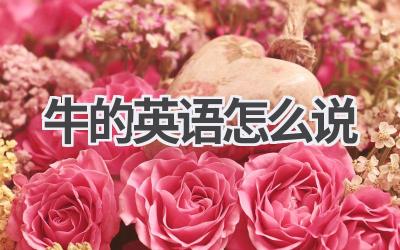 牛的英语怎么说
