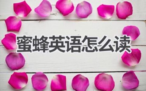 蜜蜂英语怎么读