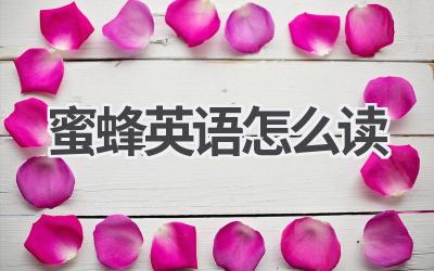 蜜蜂英语怎么读