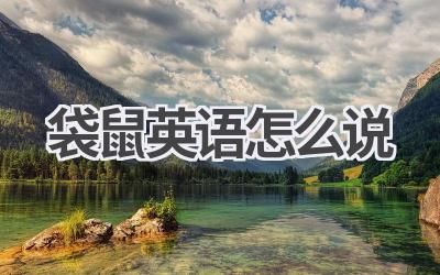 袋鼠英语怎么说