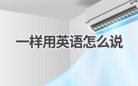 一样用英语怎么说