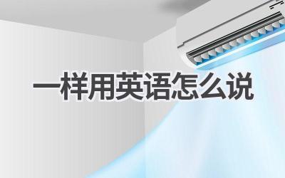 一样用英语怎么说