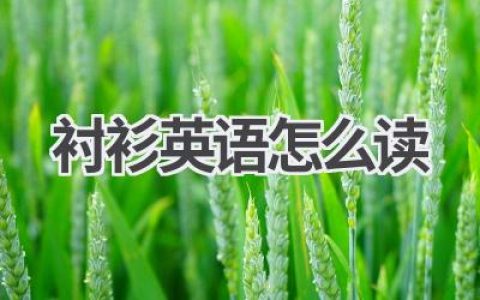 衬衫英语怎么读