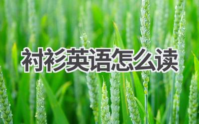 衬衫英语怎么读