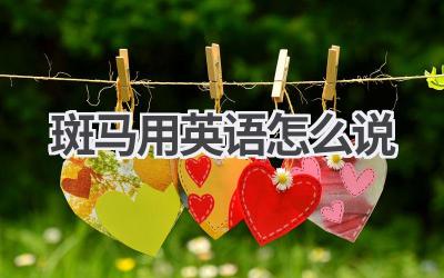 斑马用英语怎么说