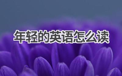 年轻的英语怎么读